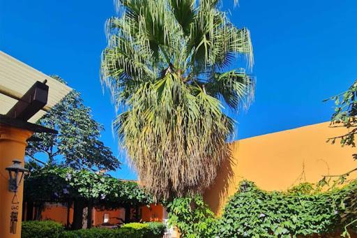 Hostal Paradiso Asuncion Kültér fotó